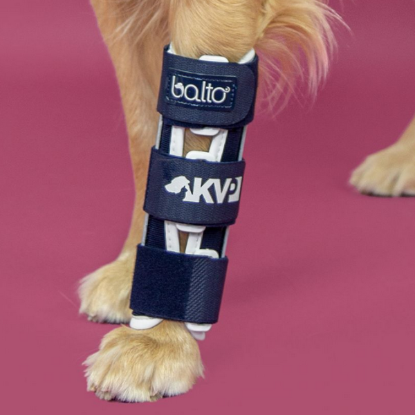Orthese Hund zur Stabilisierung von Radius und Ulna (Elle und Speiche) - Balto Bone Splint Radius and Ulna